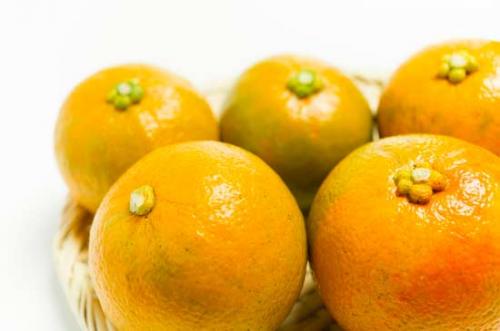 萩の橙ドレッシング(150ml)